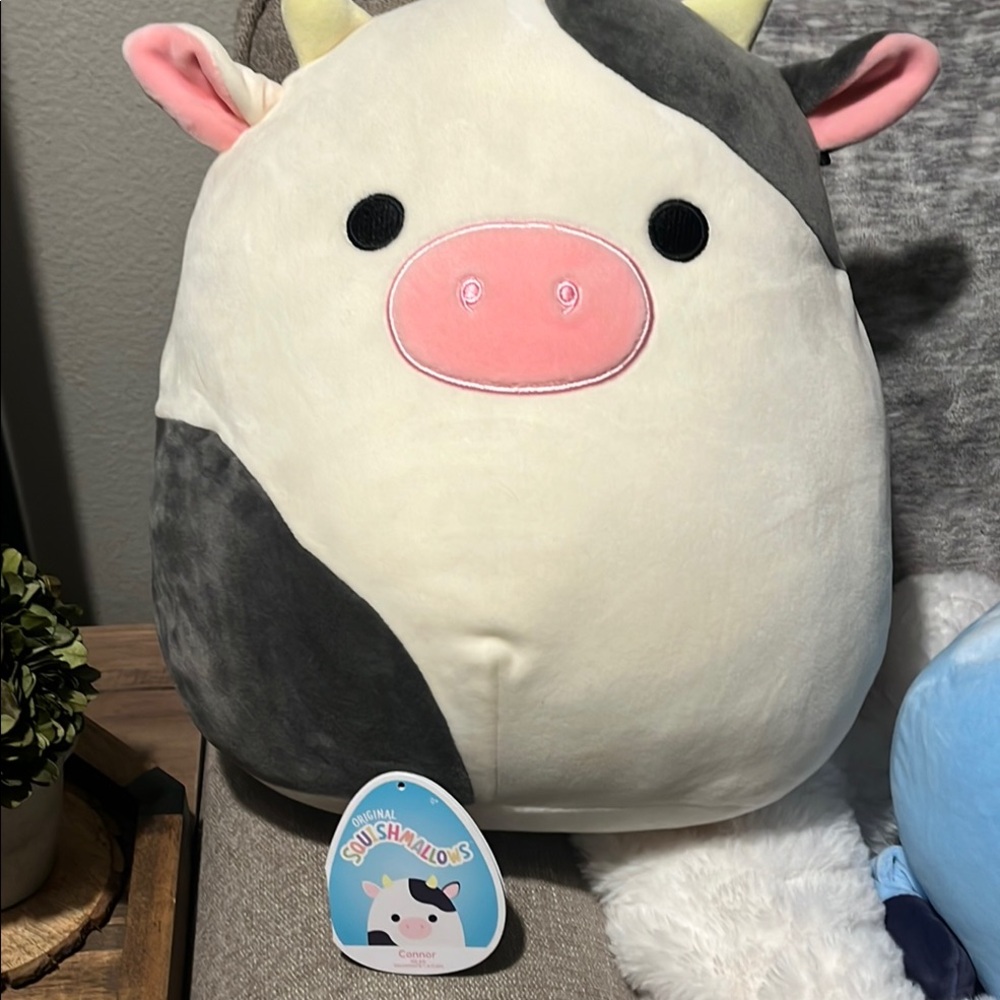 Squishmallows Conner the cow!